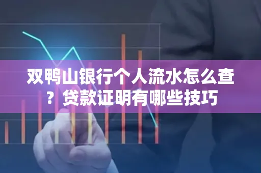 双鸭山银行个人流水怎么查?贷款证明有哪些技巧